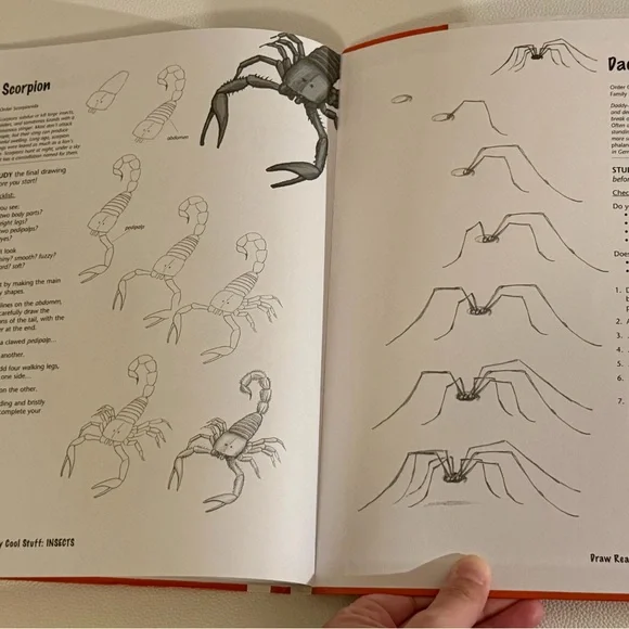 Draw Really Cool Stuff Kids Drawing Book Step by Step Hinkler Like New - Picture 10 of 16